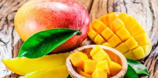 El Mango