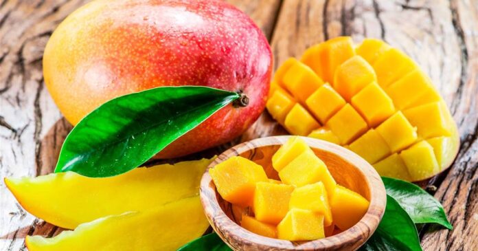 El Mango