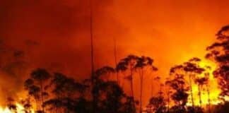 Incendios forestales en Ecuador