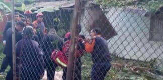 Niño muere aplastado por árbol