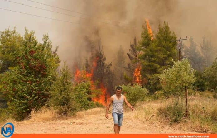 Ola de incendios en Turquía