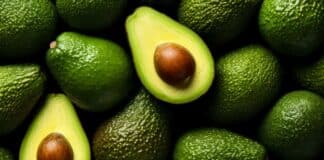 aguacate