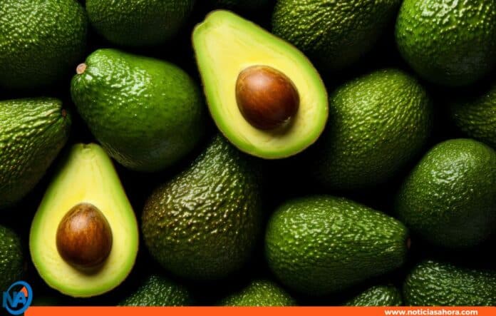aguacate