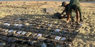 panelas de sustancias ilícitas en Falcón