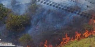 Incendios forestales en Mérida