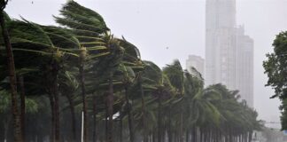 Supertifón Yagi