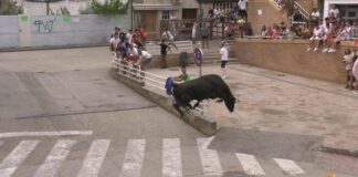 Toro rompe valla y ataca a asistentes en Toledo
