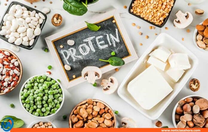 alternativas vegetales de proteína