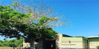 historia de las Ánimas de Guasare