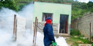 plan de fumigación