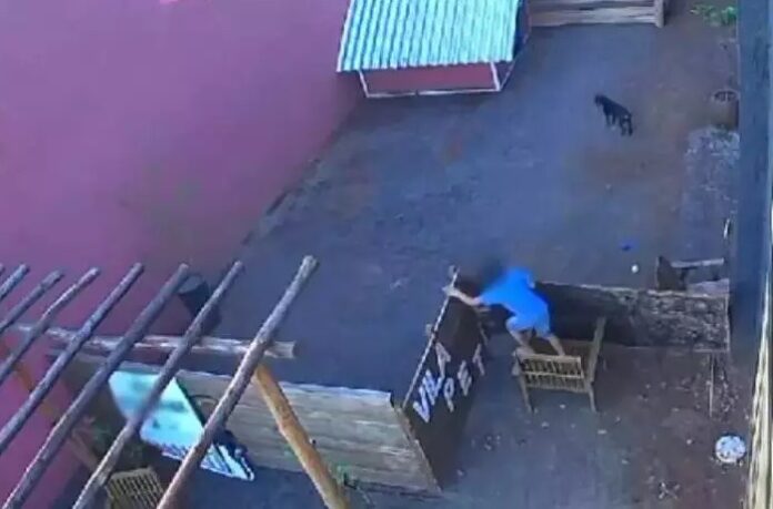 Brasil: Niño de 9 años masacre clínica veterinaria