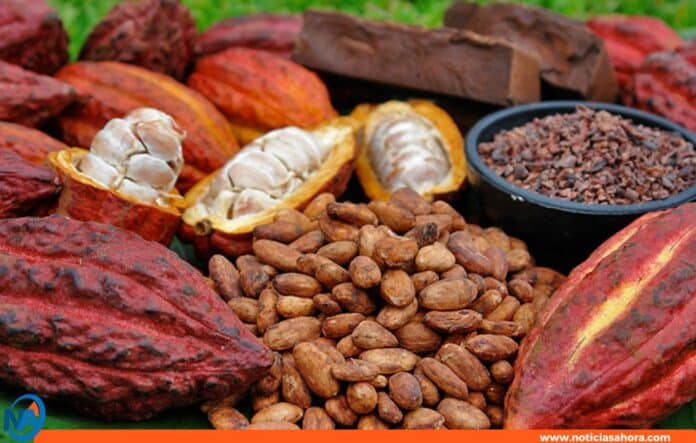 Día Nacional del Cacao