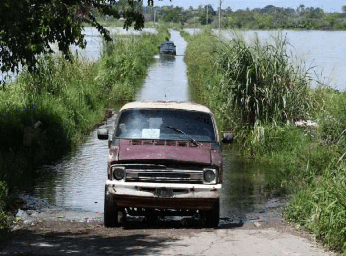 Isla La Culebra al borde del aislamiento por crecida del lago de Valencia