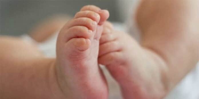 Padre vende bebé financiar apuestas online