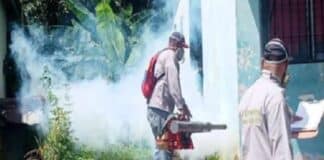 Plan Pícale Adelante al Dengue