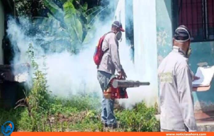 Plan Pícale Adelante al Dengue