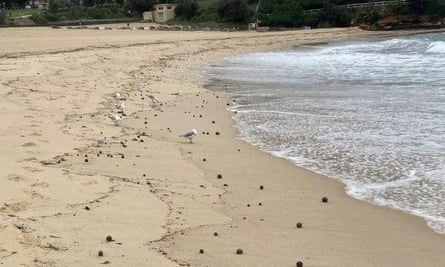 cierran playas de Sydney