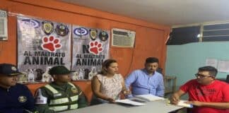 protección animal Aragua