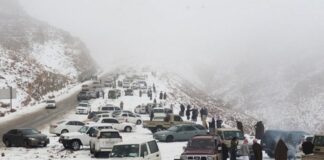 Arabia Saudita Nevadas transforman el desierto