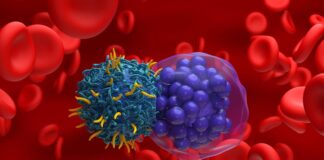 Células CAR-T ofrecen cura tumores cerebrales pediátricos