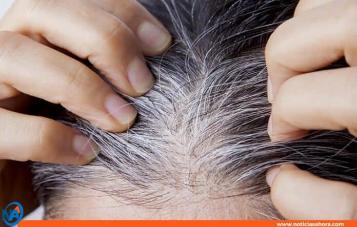 receta casera canas