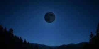 Luna Negra