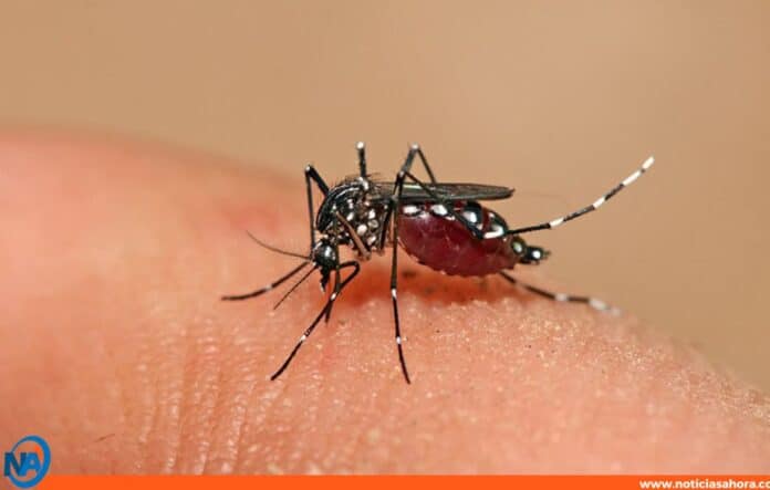 Venezuela kit rápido para dengue