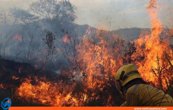 Incendios forestales en Cojedes