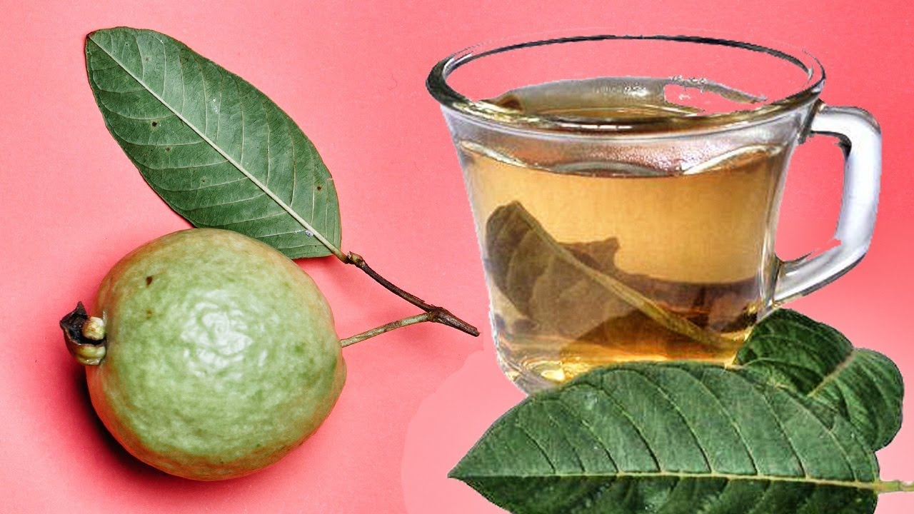Propiedades y Beneficios hojas de guayaba.0