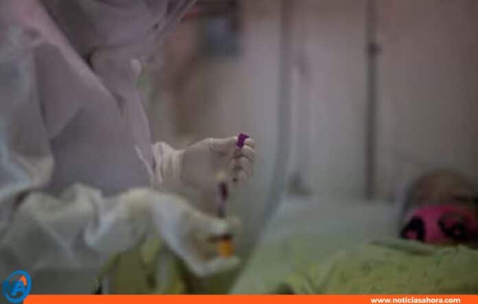 bacteria klebsiella oxytoca