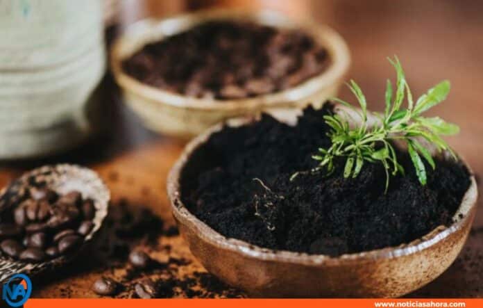 beneficios de los posos de café