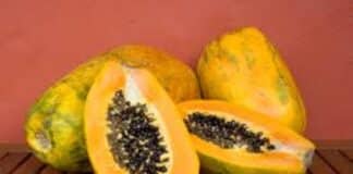 Semillas de Papaya