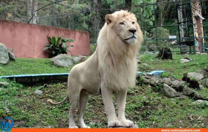 Zoológico de Mérida Zoológico de Mérida