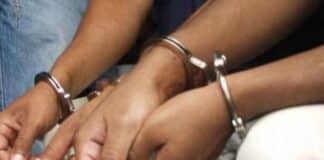 banda robo de vehículos Falcón