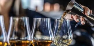 bebida alcohólica saludable