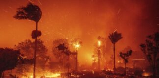 Incendio forestal en Los Ángeles