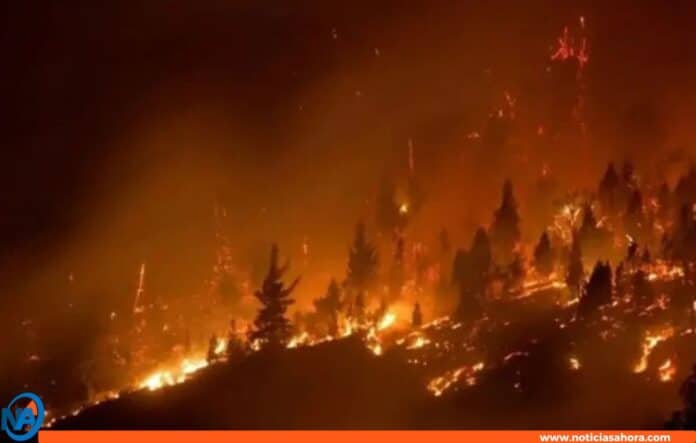 Incendio forestal Patagonia