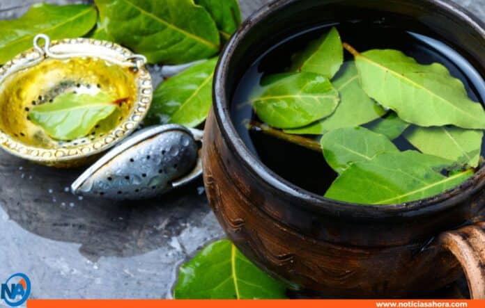 Té de hojas de guanábana