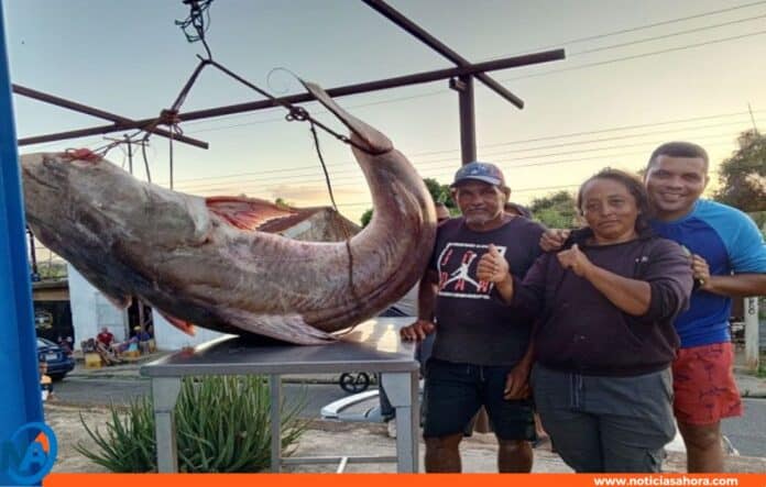 récord de pesca Río Orinoco