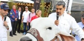 Feria Nacional del Cebú