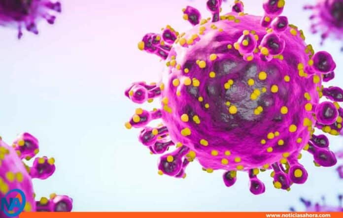 Virus Oropouche Virus Oropouche
