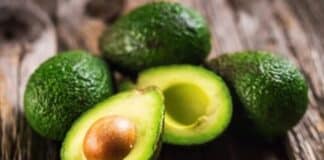 aguacate de Yaracuy IGP