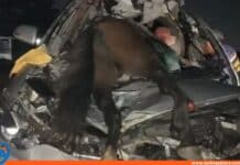 Valencia-Campo Carabobo Choque contra caballo
