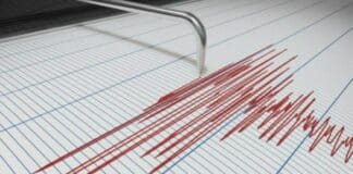 Sucre sismo