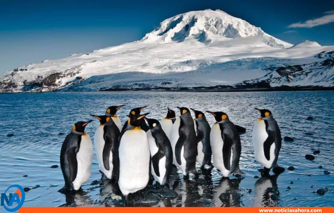 Trump aranceles islas australianas.0
