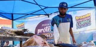 Venezuela come + Pescado