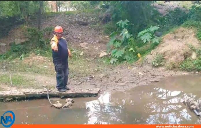 Adolescente muere ahogado en tanque de agua