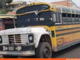 colector autobús arrollado Zulia