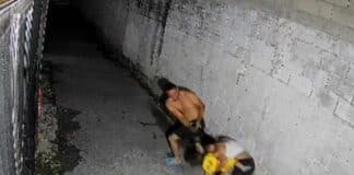 Violencia familiar Aragua