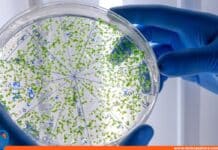 bioinformática agua Venezuela